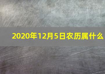 2020年12月5日农历属什么