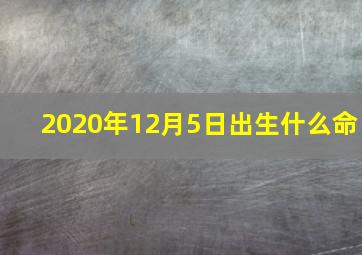 2020年12月5日出生什么命