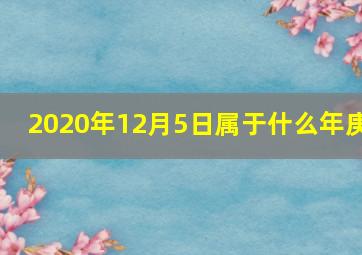 2020年12月5日属于什么年庚