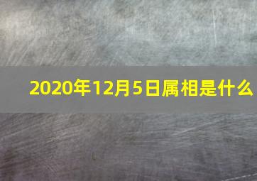 2020年12月5日属相是什么