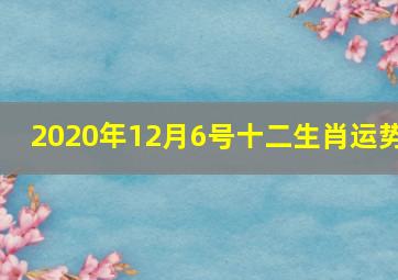 2020年12月6号十二生肖运势