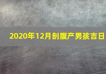 2020年12月剖腹产男孩吉日