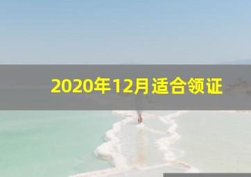 2020年12月适合领证