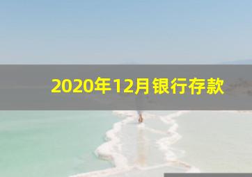 2020年12月银行存款