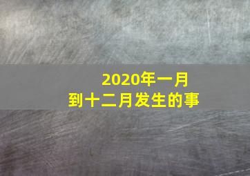 2020年一月到十二月发生的事