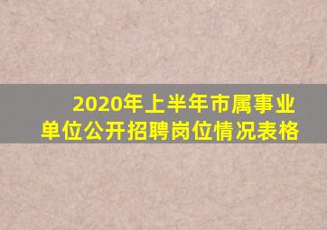 2020年上半年市属事业单位公开招聘岗位情况表格