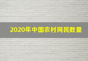 2020年中国农村网民数量