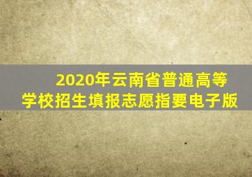 2020年云南省普通高等学校招生填报志愿指要电子版