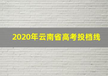 2020年云南省高考投档线