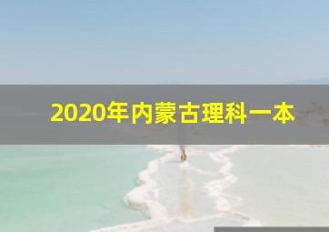 2020年内蒙古理科一本