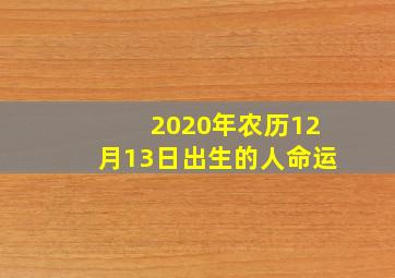 2020年农历12月13日出生的人命运