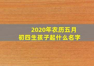 2020年农历五月初四生孩子起什么名字