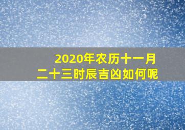 2020年农历十一月二十三时辰吉凶如何呢