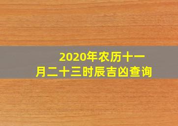 2020年农历十一月二十三时辰吉凶查询