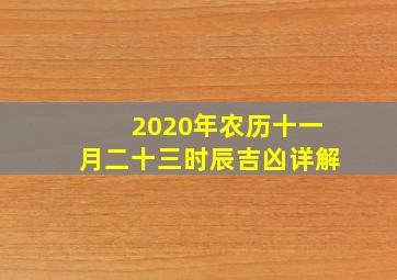 2020年农历十一月二十三时辰吉凶详解