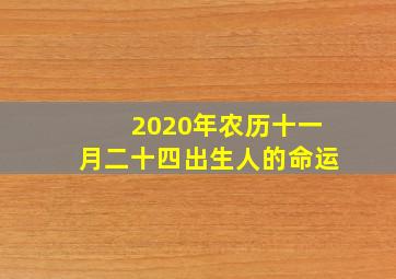 2020年农历十一月二十四出生人的命运