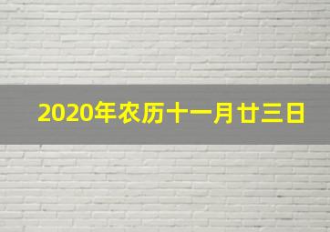 2020年农历十一月廿三日