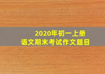 2020年初一上册语文期末考试作文题目