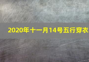 2020年十一月14号五行穿衣