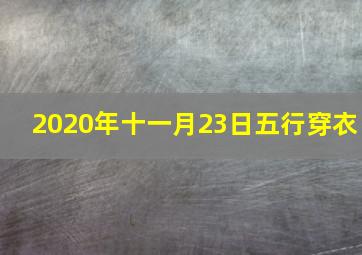 2020年十一月23日五行穿衣