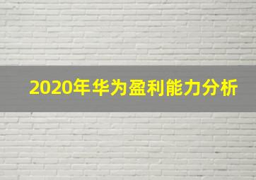 2020年华为盈利能力分析