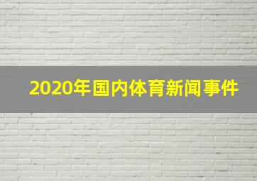 2020年国内体育新闻事件