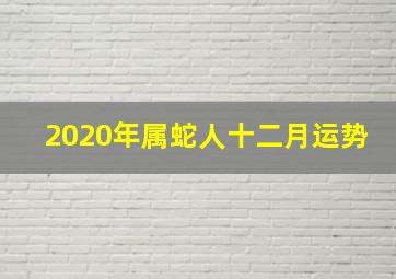 2020年属蛇人十二月运势