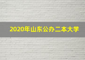 2020年山东公办二本大学