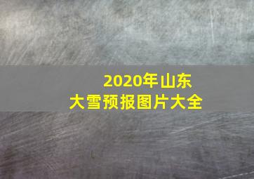 2020年山东大雪预报图片大全