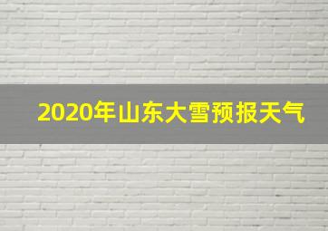 2020年山东大雪预报天气