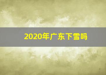 2020年广东下雪吗