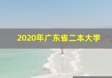 2020年广东省二本大学