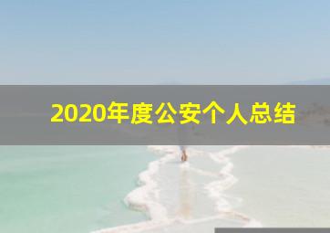 2020年度公安个人总结