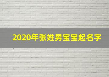 2020年张姓男宝宝起名字