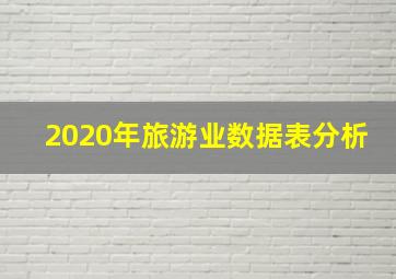 2020年旅游业数据表分析