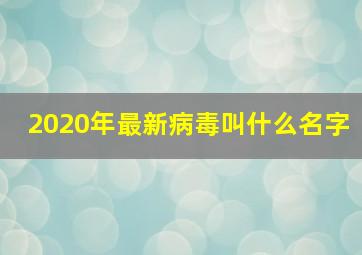 2020年最新病毒叫什么名字