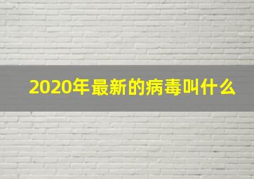 2020年最新的病毒叫什么