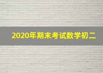 2020年期末考试数学初二