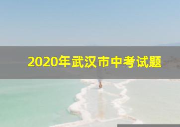 2020年武汉市中考试题