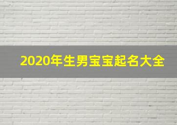 2020年生男宝宝起名大全