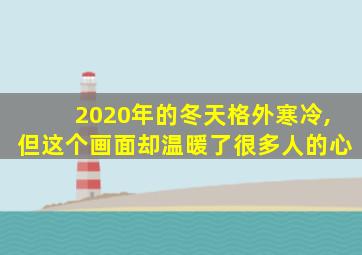 2020年的冬天格外寒冷,但这个画面却温暖了很多人的心