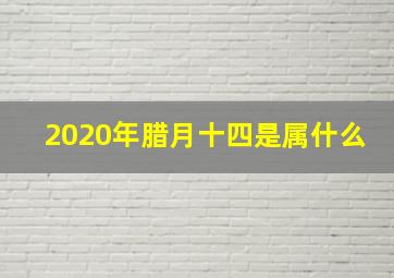 2020年腊月十四是属什么