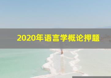 2020年语言学概论押题