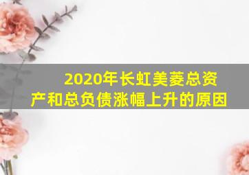 2020年长虹美菱总资产和总负债涨幅上升的原因