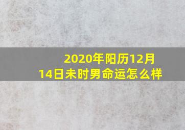 2020年阳历12月14日未时男命运怎么样