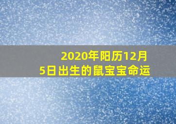 2020年阳历12月5日出生的鼠宝宝命运