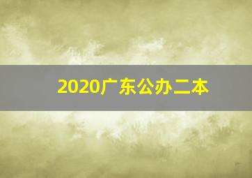 2020广东公办二本