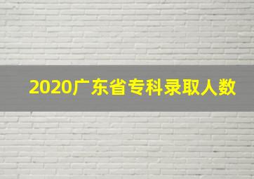 2020广东省专科录取人数