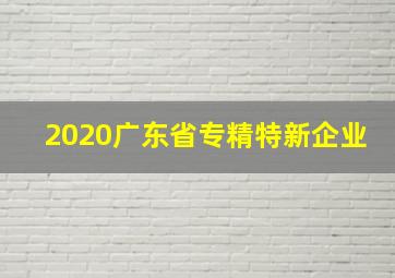 2020广东省专精特新企业