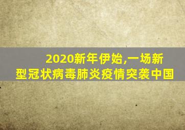 2020新年伊始,一场新型冠状病毒肺炎疫情突袭中国